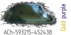 Gold purple ACh-593215-452438